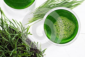 Healthy ingredients for detox, wheatgrass juice with young shoots of the wheat plant isolated on white background with copy space