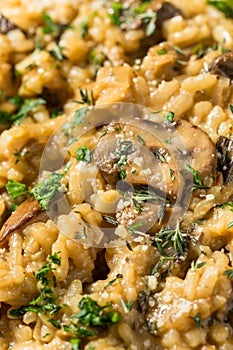 Healthy Italian Mushroom Risotto