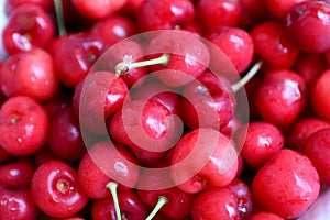 Healthy, juicy, fresh, organic cherries in fruit bowl close up. Cherries in background.