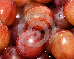 Healthy juicy red grapes