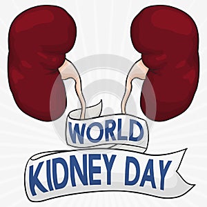 Healthy Kidneys with Greeting Ribbon to Commemorate World Kidney Day, Vector Illustration