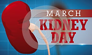 Healthy Kidneys Over Medical Exam and Sign for Kidney Day, Vector Illustration