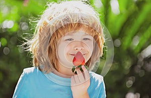 Healthy kids food. Cute little boy eating a strawberry on green summer background. Close up kids happy face.