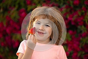 Healthy kids food Kid funny portrait. Cute little boy eating a strawberry.