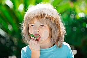 Healthy kids food. Kids pick fresh organic strawberry. Cute little boy eating a strawberrie.