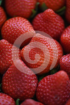 Healthy large ripe strawberries with beautiful red skin and succulent texture