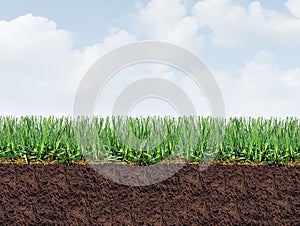 Healthy Lawn Border Background