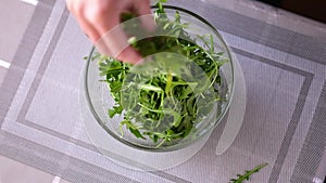 Healthy lifestyle - Woman pouring arugula into glass bowl