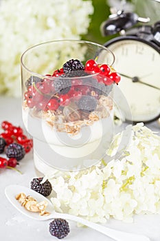 Healthy light breakfast: parfait with muesli, berries and yogurt