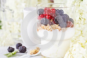 Healthy light breakfast: parfait with muesli, berries and yogurt