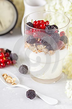 Healthy light breakfast: parfait with muesli, berries and yogurt