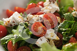 Healthy light salad with cherry tomatoes, mozzarella and frisee in white bowl closeup