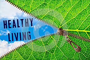 Healthy living word under zipper leaf