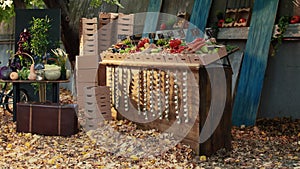 Healthy locally grown fruits and vegetables on farmers market stand