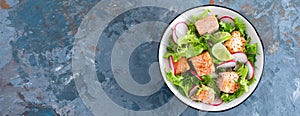 Healthy lunch salad with baked salmon fish, fresh radish, lettuce and lime. Top view. Banner