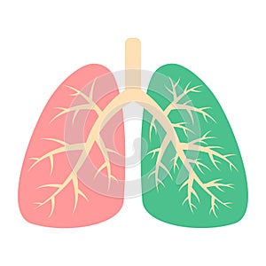 Healthy lung and diseased human lung. Respiratory system. Patient with pneumonia, asthma, lung cancer. Viruses and