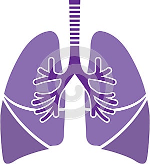 Healthy Lungs