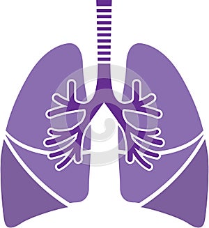 Healthy Lungs photo