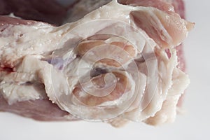 Healthy lymph node in pork meat. popliteal lymph node - veterinary and sanitary examination of meat