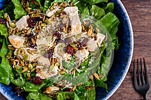 Healthy meal, blue food bowl with romaine lettuce, grille chicken breast, parmesan cheese, and salad topper of roasted nuts and se