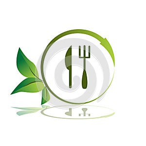 Healthy Meal Icon photo