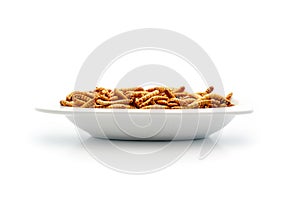 Healthy mealworms on small plate