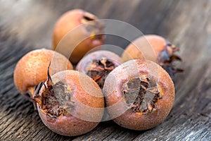 Healthy Medlars