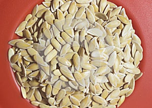 Healthy musk melon seeds