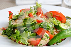 Healthy natural food, fresh salad with vegetables in plate