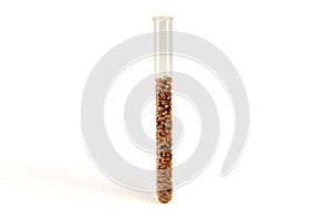 Healthy, natural wheat in a test tube