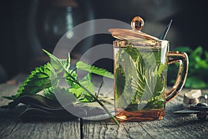 Healthy nettle tea, nettle plants, gloves and garden pruner on old wooden table.