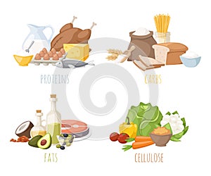 Healthy nutrition, proteins fats carbohydrates balanced diet, cooking, culinary and food concept vector.