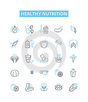 Healthy nutrition vector line icons set. Nutrition, Healthy, Diet, Balanced, Vegetables, Fruits, Grains illustration