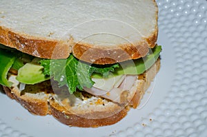 Healthy nutritious gluten free sandwich with turkey and swiss cheese, fresh avocado, kale and onion.