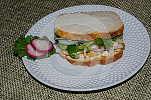 Healthy nutritious gluten free sandwich with turkey and swiss cheese, fresh avocado, kale and onion.
