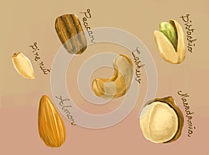 Healthy nuts macadamia, peacan, cashew, pine nut, almond and pis