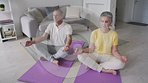 Healthy old couple meditating at home learning yoga online classes tutorials.