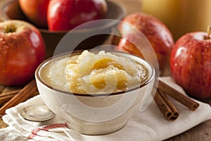 Healthy Organic Applesauce with Cinnamon