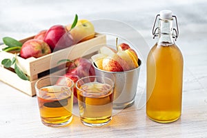 Healthy organic food. Apple cider vinegar or juice in glass bottle and fresh red apples.