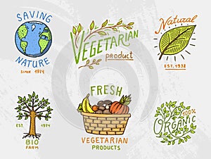 Healthy Organic food logos set or labels and elements for Vegetarian and Farm green natural vegetables products, vector