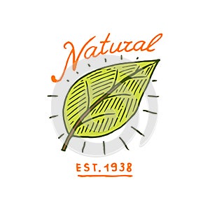 Healthy Organic food logos set or labels and elements for Vegetarian and Farm green natural vegetables products, vector