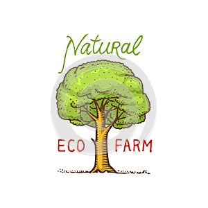 Healthy Organic food logos set or labels and elements for Vegetarian and Farm green natural vegetables products, vector
