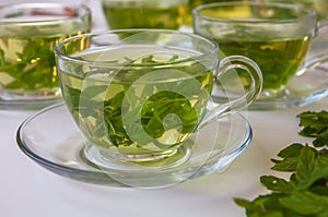 Healthy organic fresh herbs tea : Spearmint, lemon verbena and sage