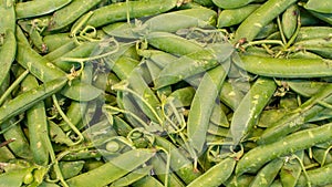 Healthy organic green beans on market place