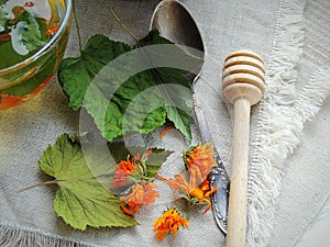 Healthy organic herbal tea with calendula and dry leaves of blackcurrant and mulberry.