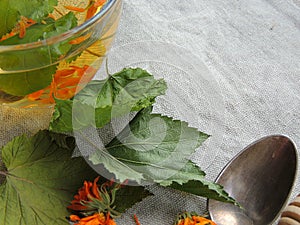 Healthy organic herbal tea with calendula and dry leaves of blackcurrant and mulberry.