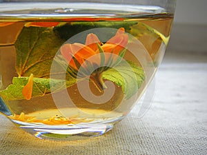 Healthy organic herbal tea with calendula and dry leaves of blackcurrant and mulberry.