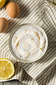 Healthy Organic Homemade Mayonnaise photo