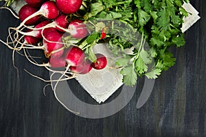 Healthy and organic radishes, grouped above the image on a white cloth on a dark table