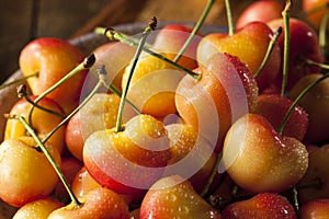 Healthy Organic Rainier Cherries